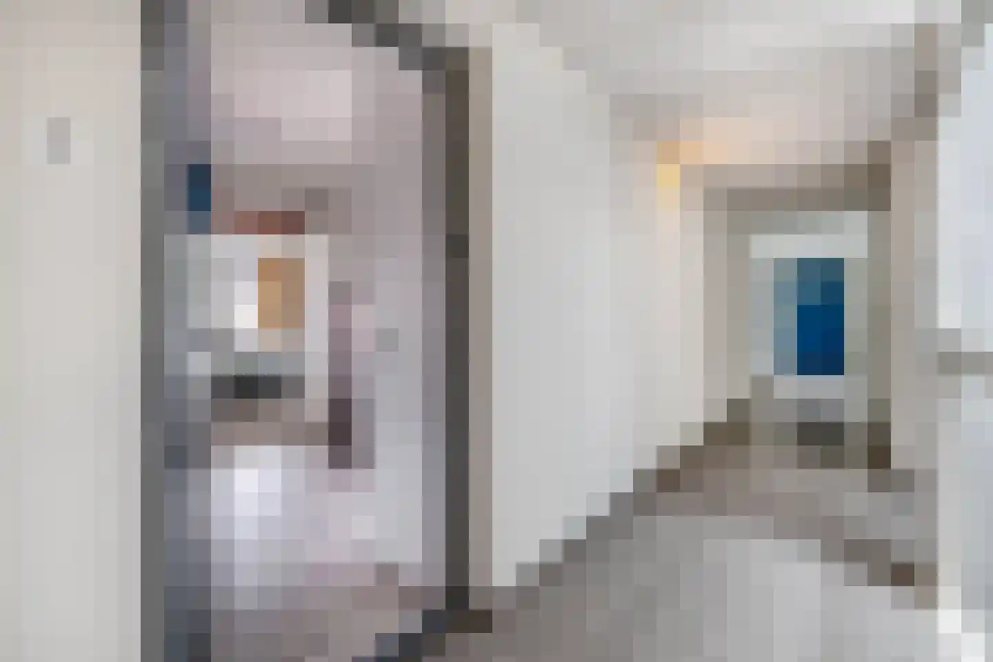 Kievit 7 De Lier thumbnail 11