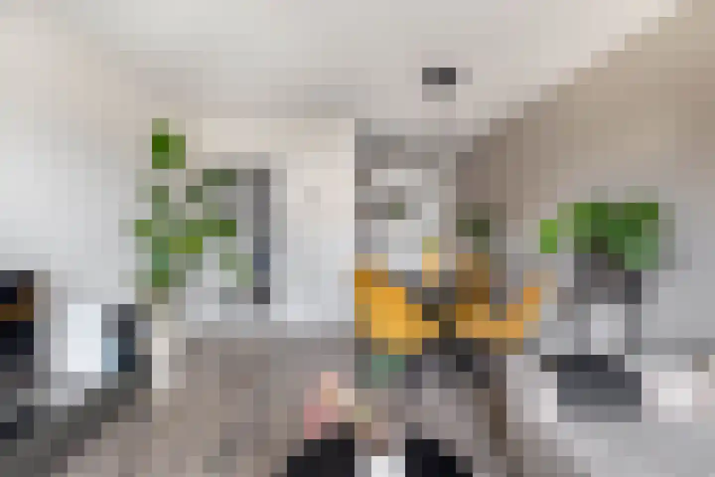 Kievit 7 De Lier thumbnail 17