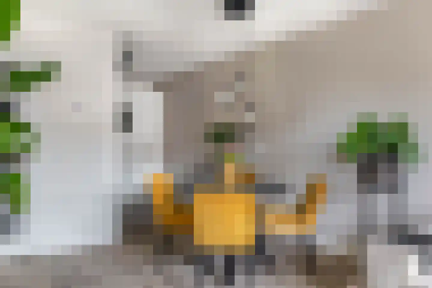 Kievit 7 De Lier thumbnail 18