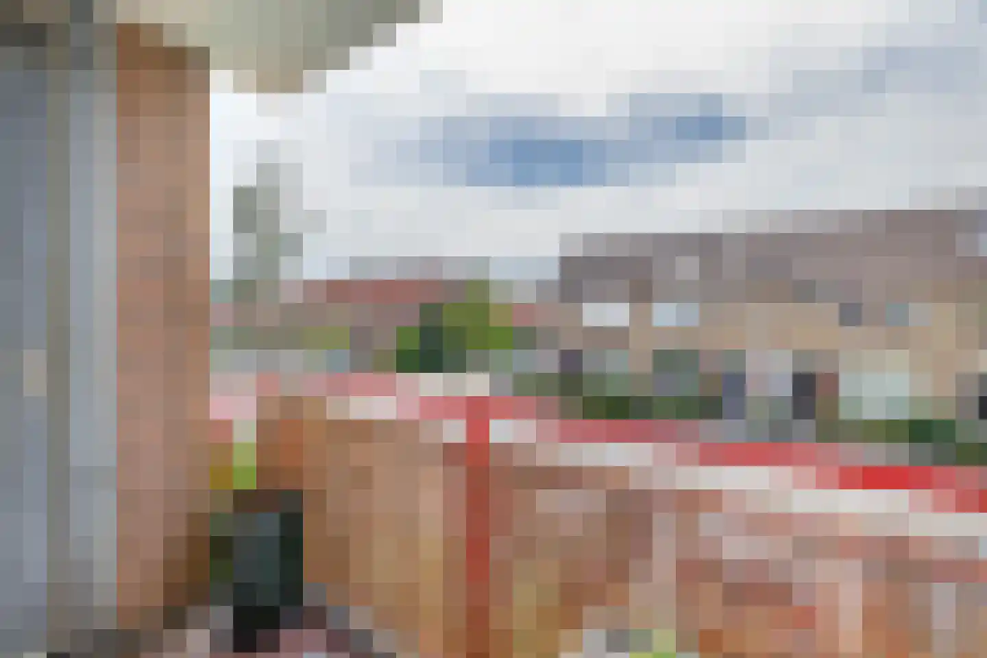 Kievit 7 De Lier thumbnail 28