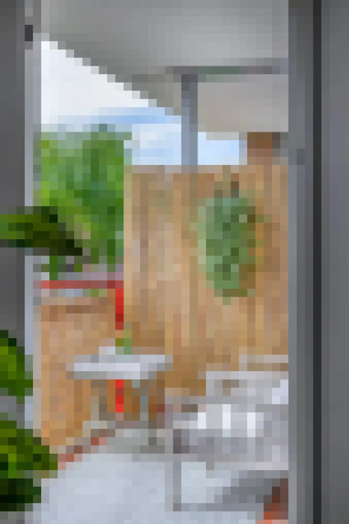 Kievit 7 De Lier thumbnail 30