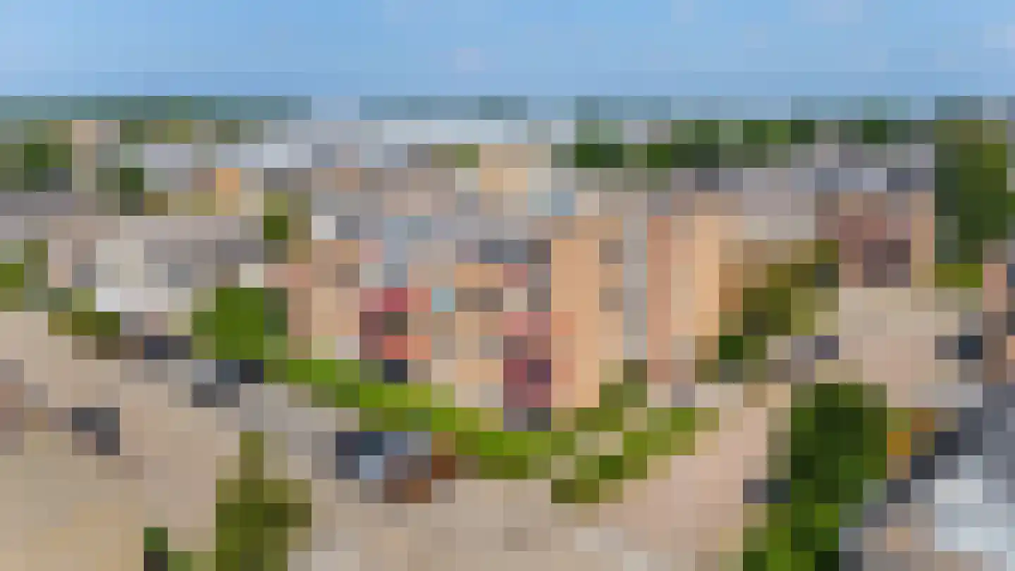 Kievit 7 De Lier thumbnail 38