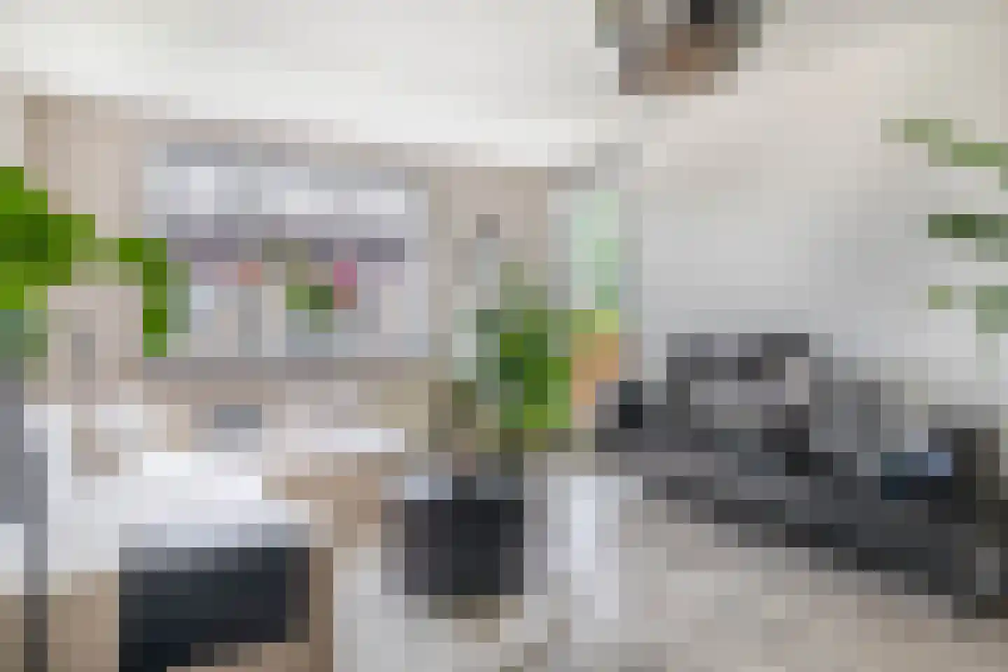 Kievit 7 De Lier thumbnail 4