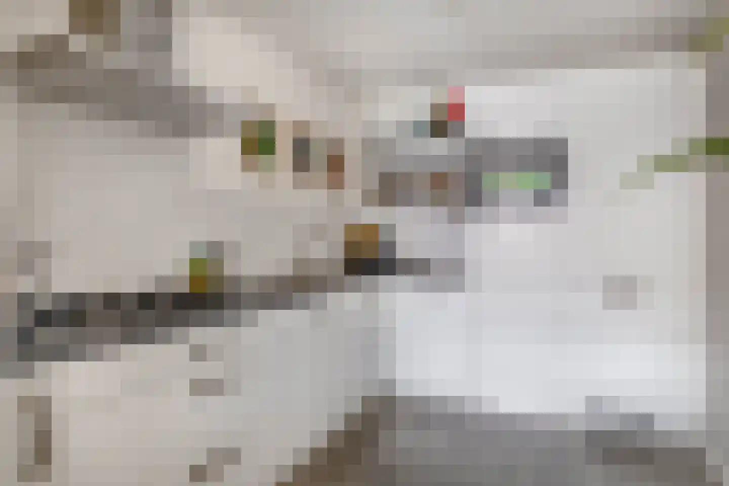 Kievit 7 De Lier thumbnail 6