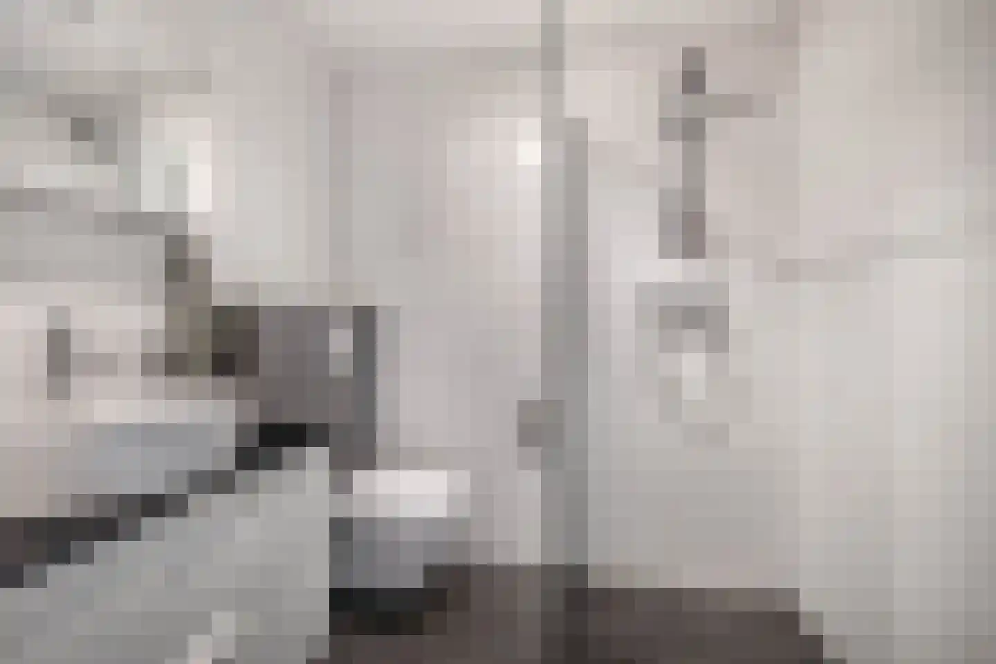 Kievit 7 De Lier thumbnail 7