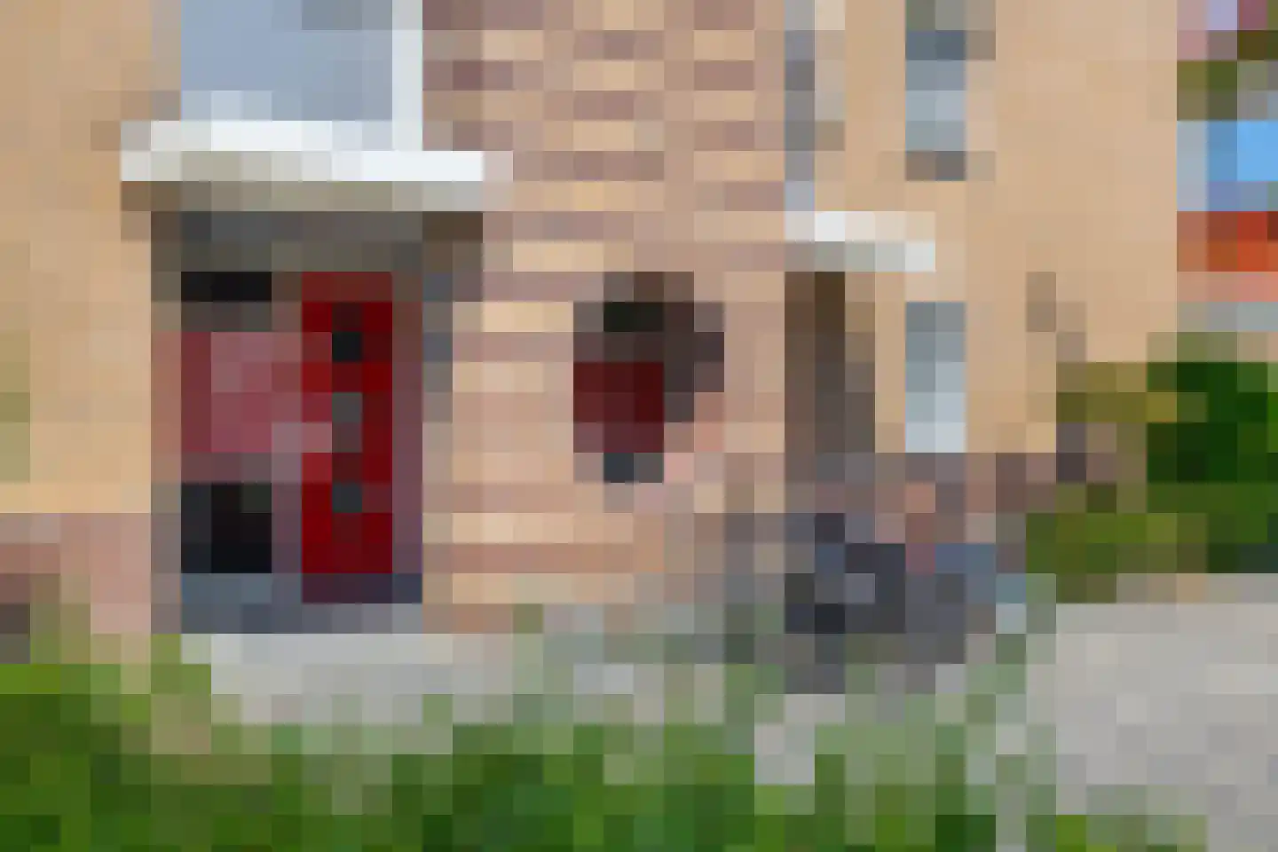 Kievit 7 De Lier thumbnail 8
