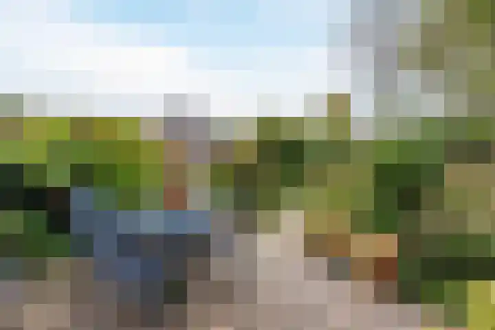 Kievit 7 Oud-Beijerland thumbnail 25