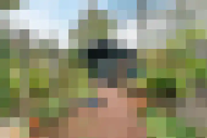 Kievit 7 Oud-Beijerland thumbnail 26