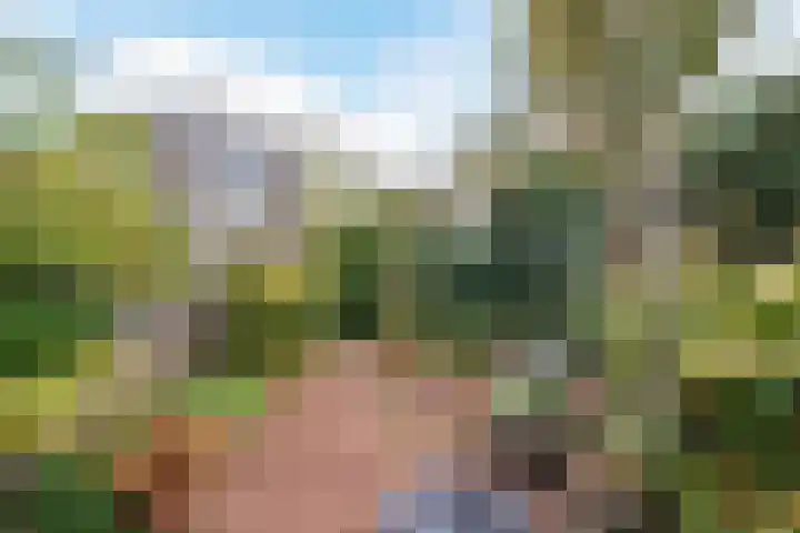Kievit 7 Oud-Beijerland thumbnail 27