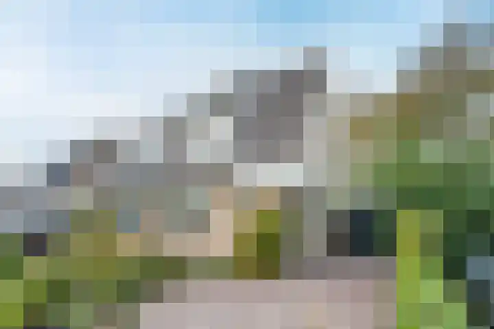 Kievit 7 Oud-Beijerland thumbnail 4