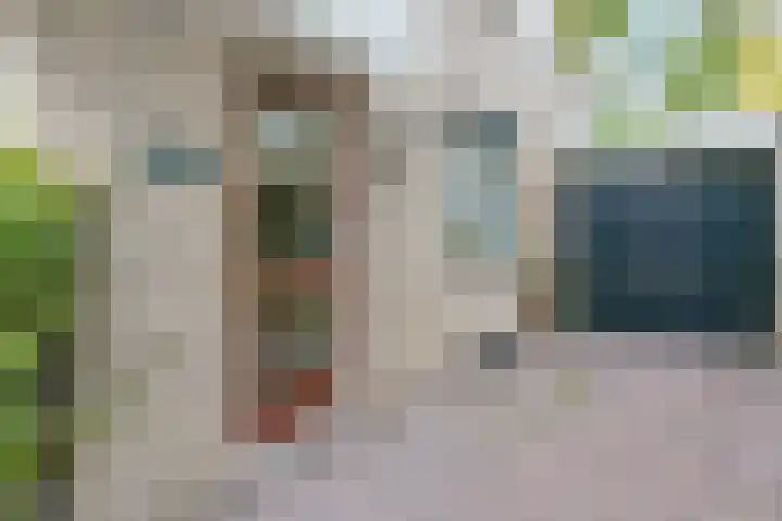 Kievit 7 Oud-Beijerland thumbnail 5