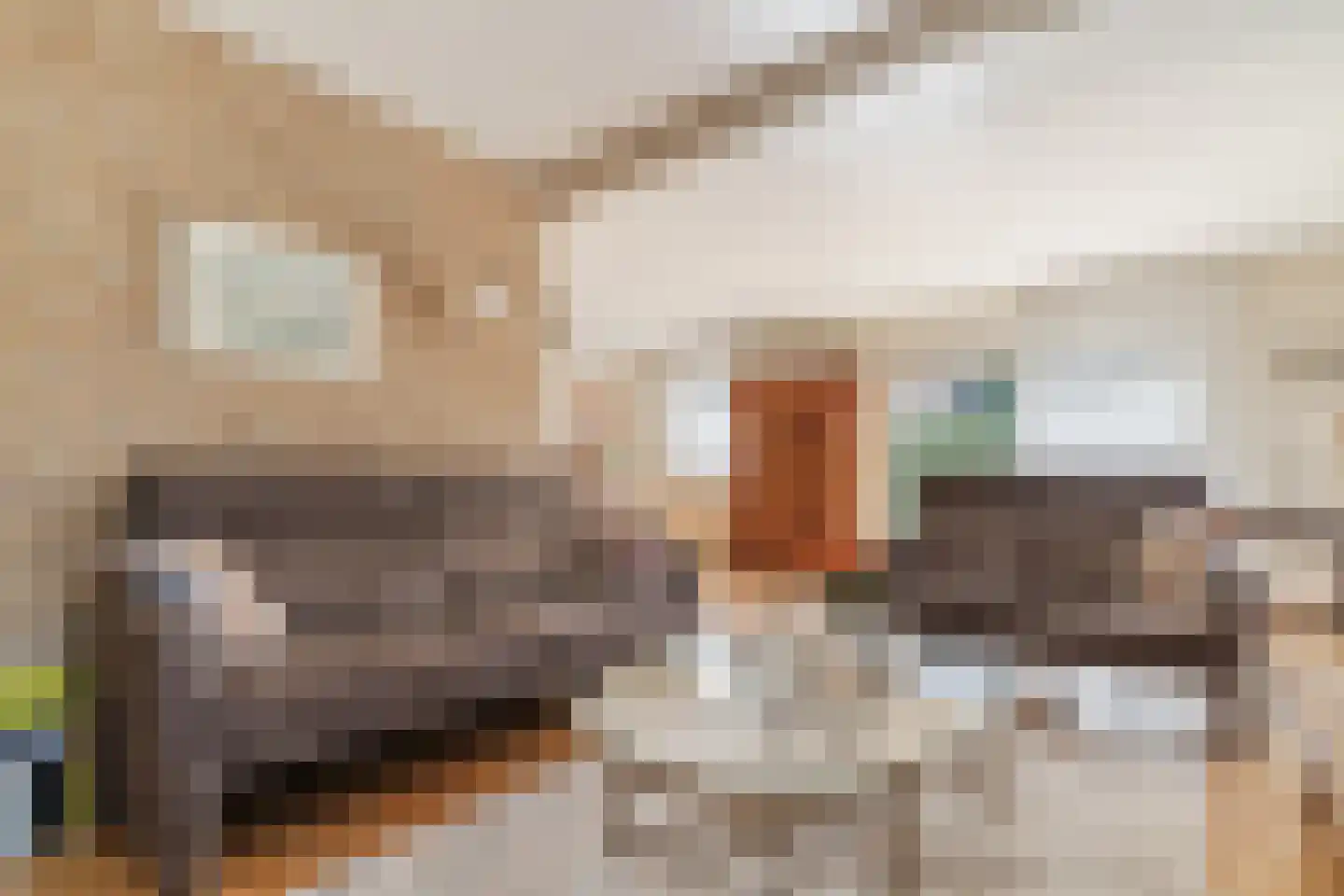 Kievit 7 Zuid-Scharwoude thumbnail 16