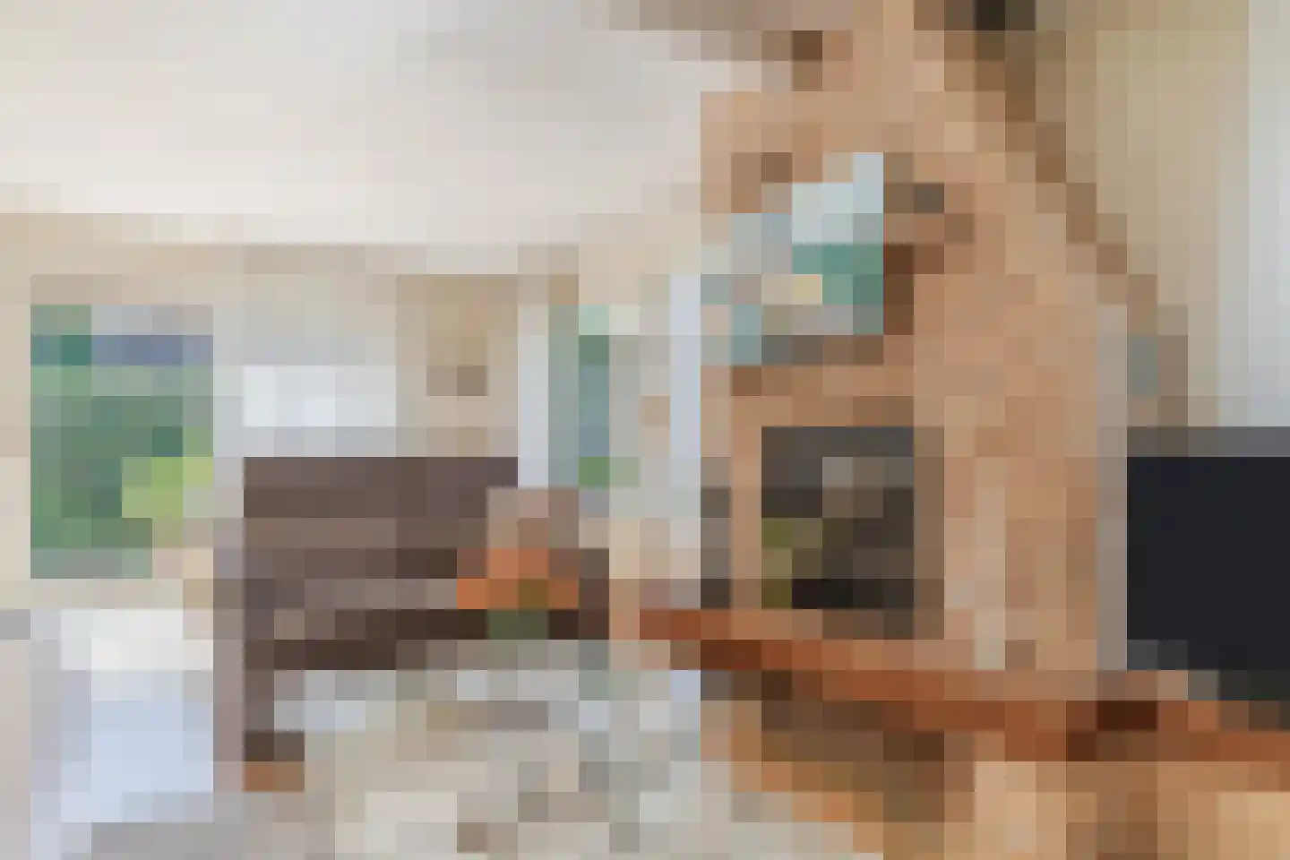 Kievit 7 Zuid-Scharwoude thumbnail 17