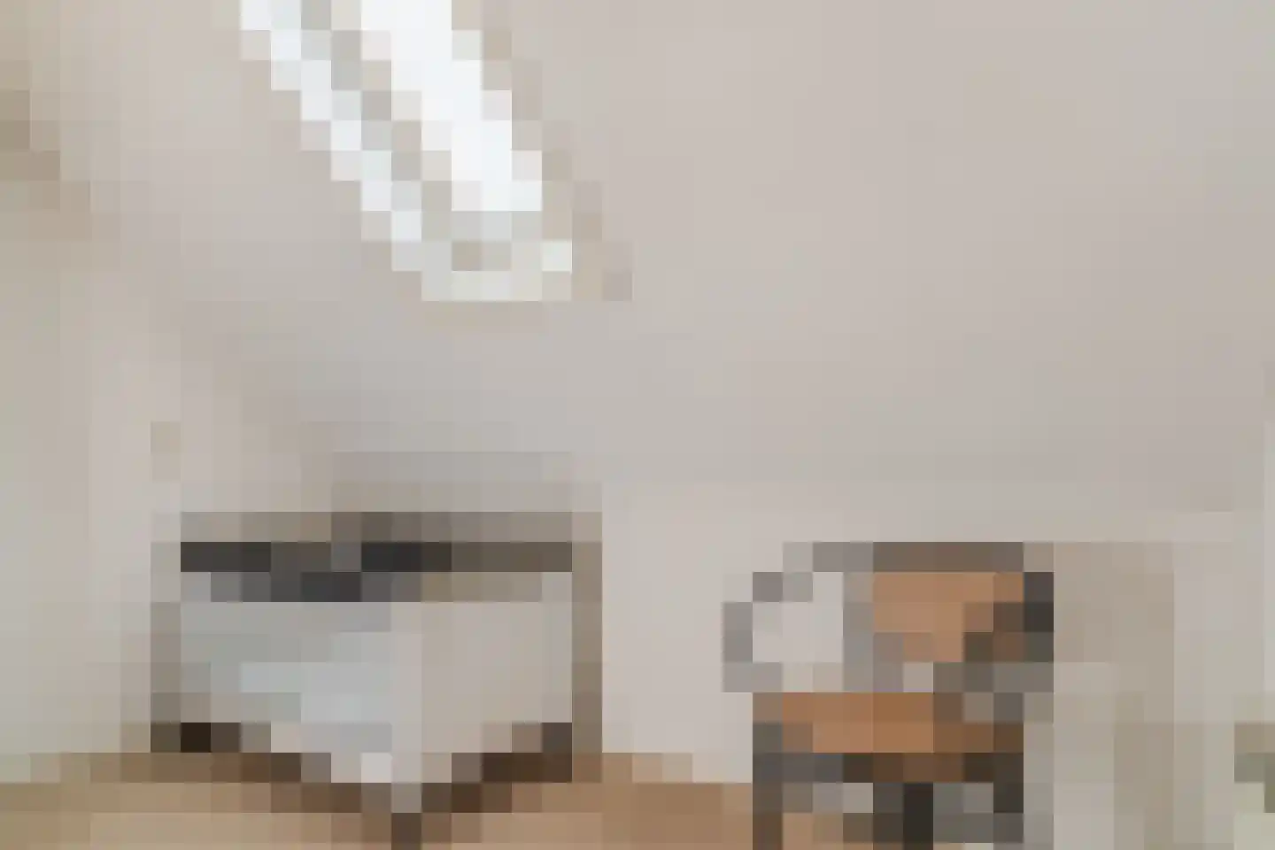 Kievit 7 Zuid-Scharwoude thumbnail 37