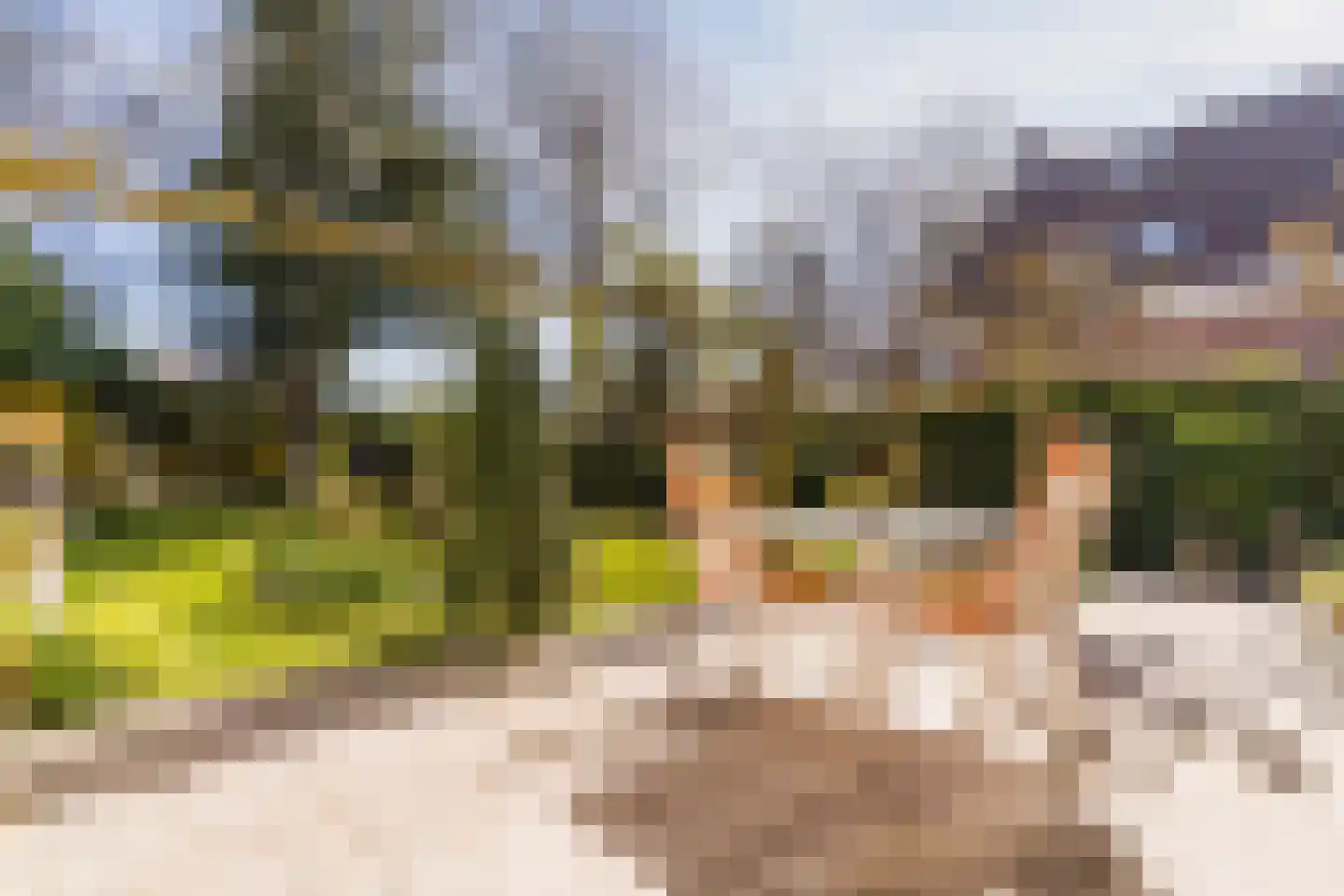 Kievit 7 Zuid-Scharwoude thumbnail 48