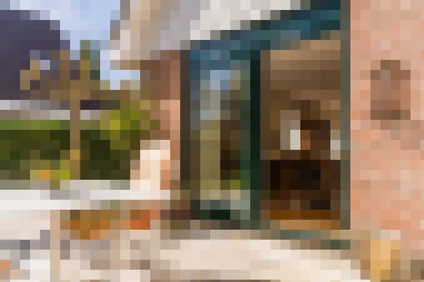 Kievit 7 Zuid-Scharwoude thumbnail 49