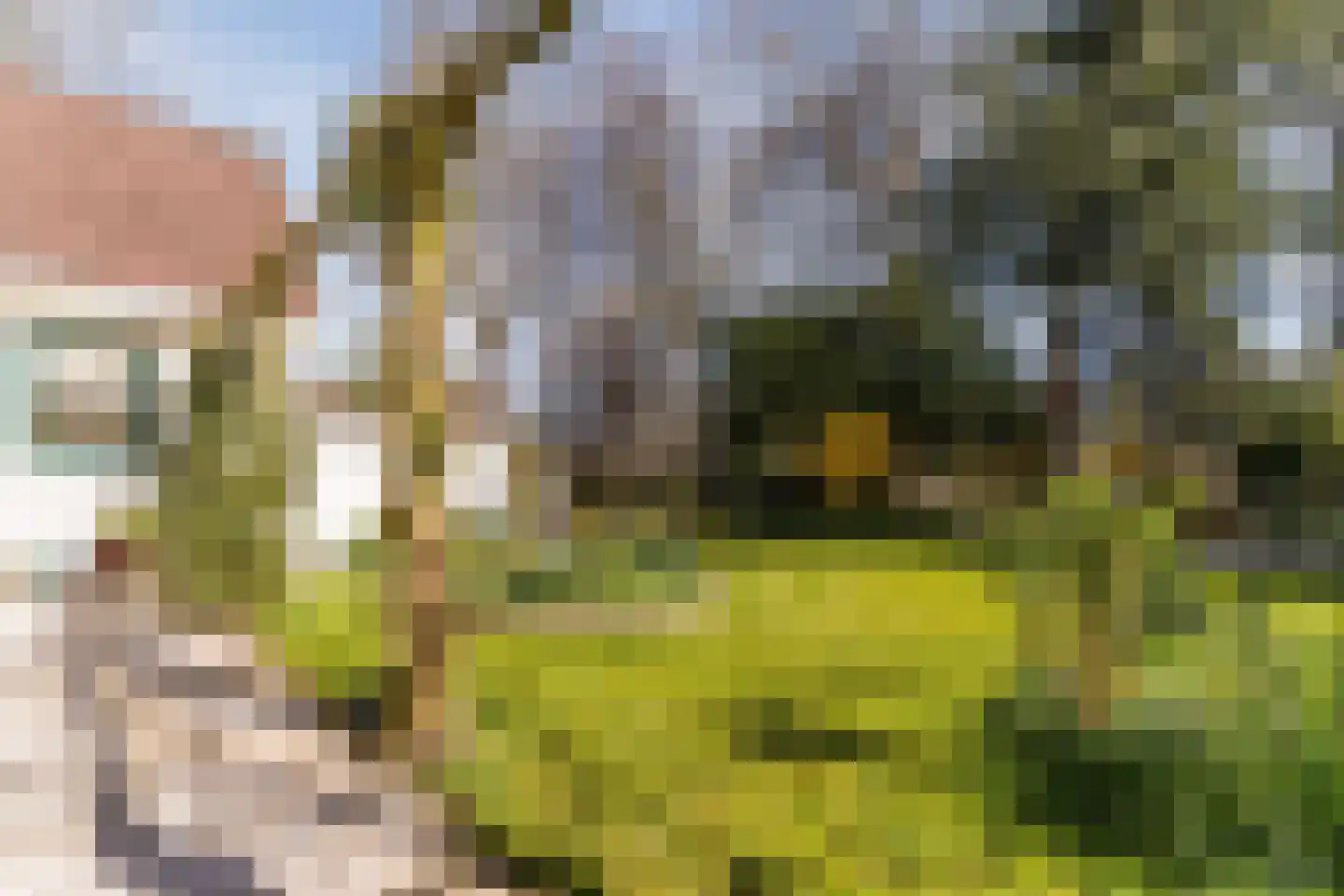 Kievit 7 Zuid-Scharwoude thumbnail 51