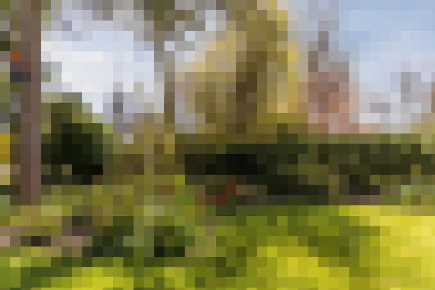 Kievit 7 Zuid-Scharwoude thumbnail 52
