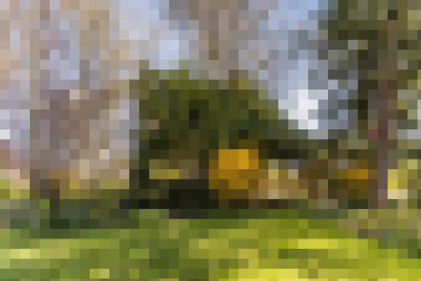 Kievit 7 Zuid-Scharwoude thumbnail 53