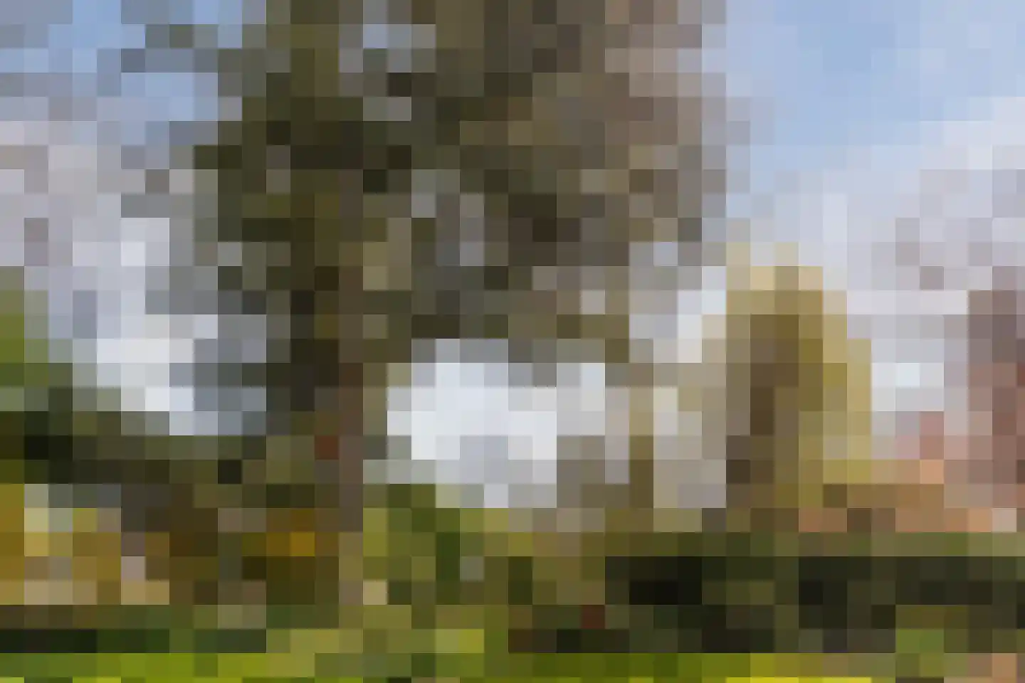 Kievit 7 Zuid-Scharwoude thumbnail 54
