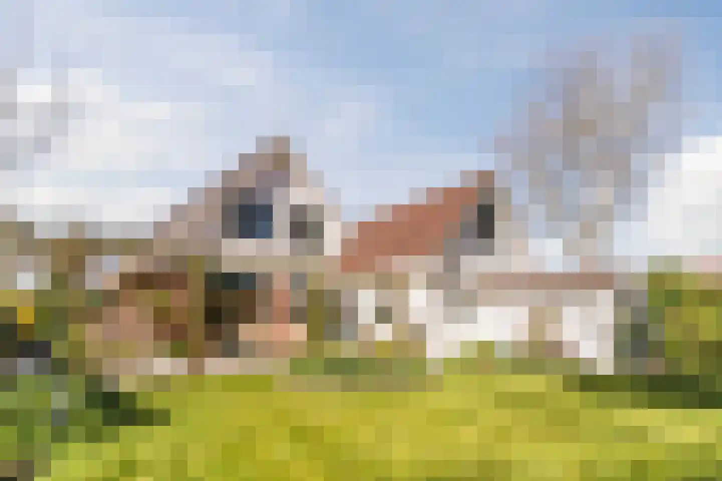 Kievit 7 Zuid-Scharwoude thumbnail 55