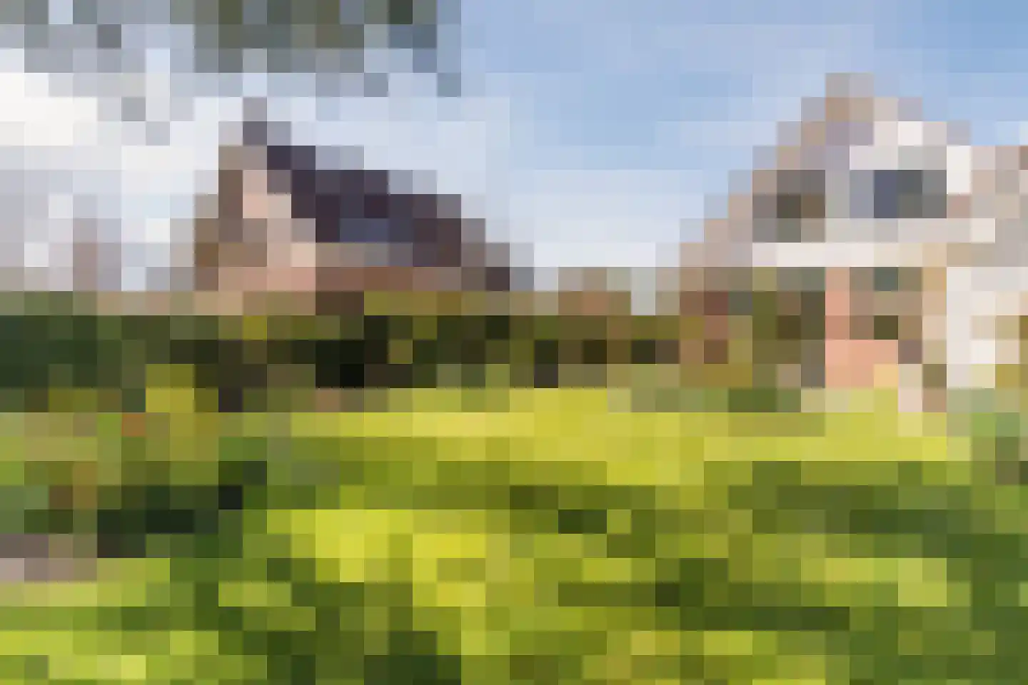 Kievit 7 Zuid-Scharwoude thumbnail 56