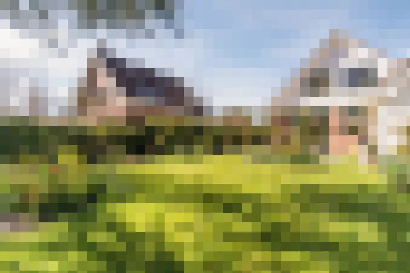 Kievit 7 Zuid-Scharwoude thumbnail 56