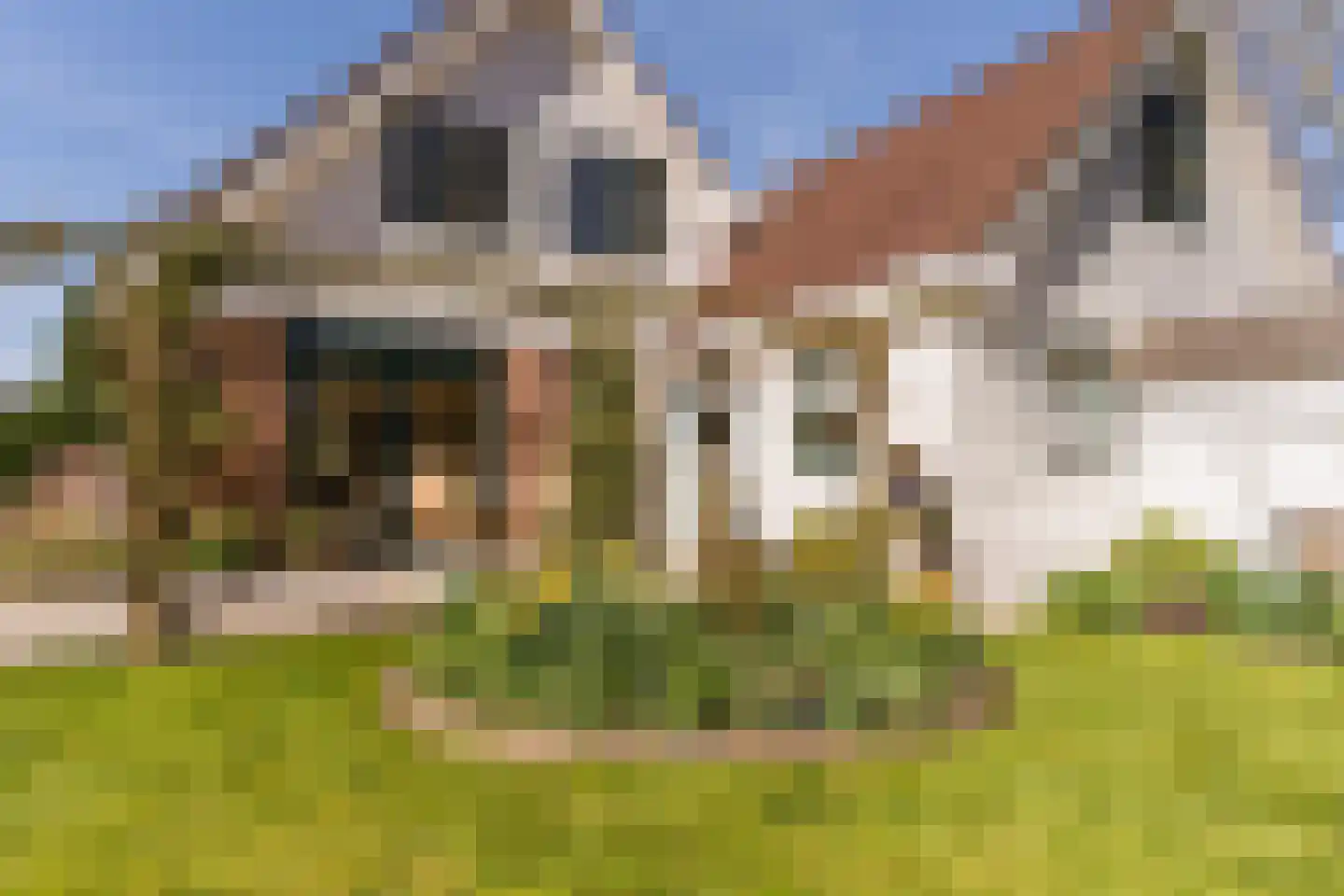Kievit 7 Zuid-Scharwoude thumbnail 57