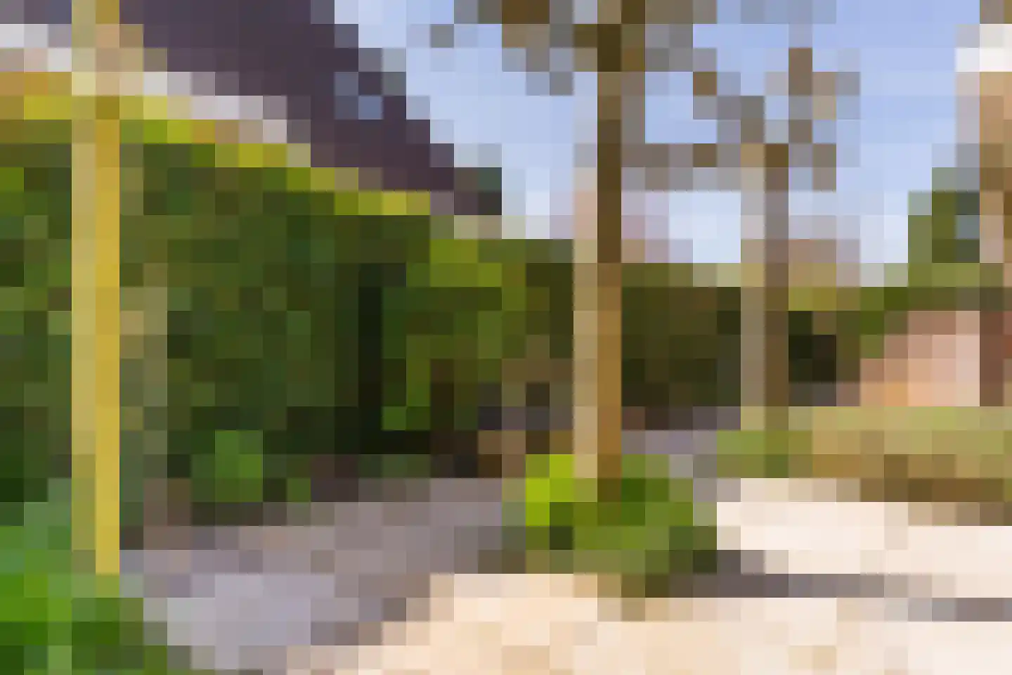 Kievit 7 Zuid-Scharwoude thumbnail 58