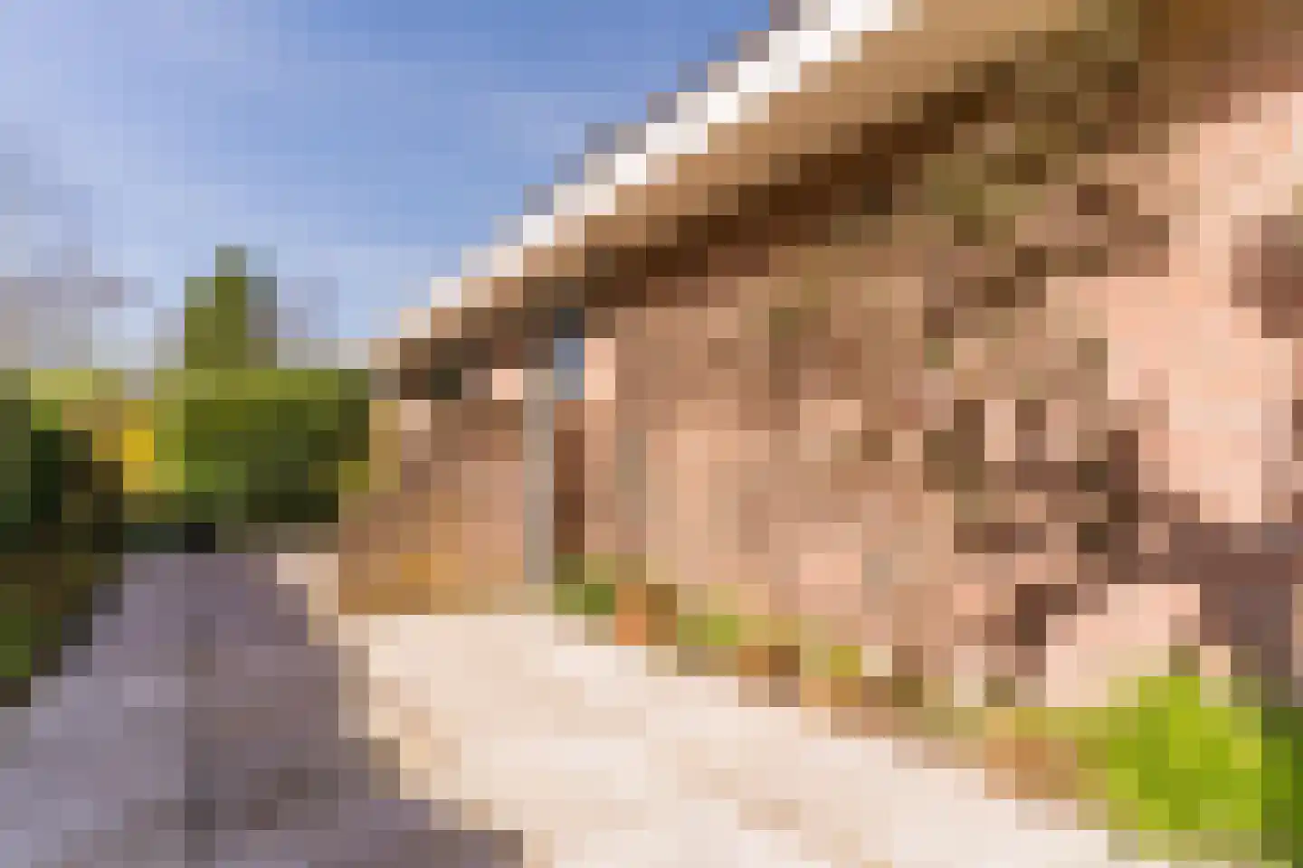 Kievit 7 Zuid-Scharwoude thumbnail 59