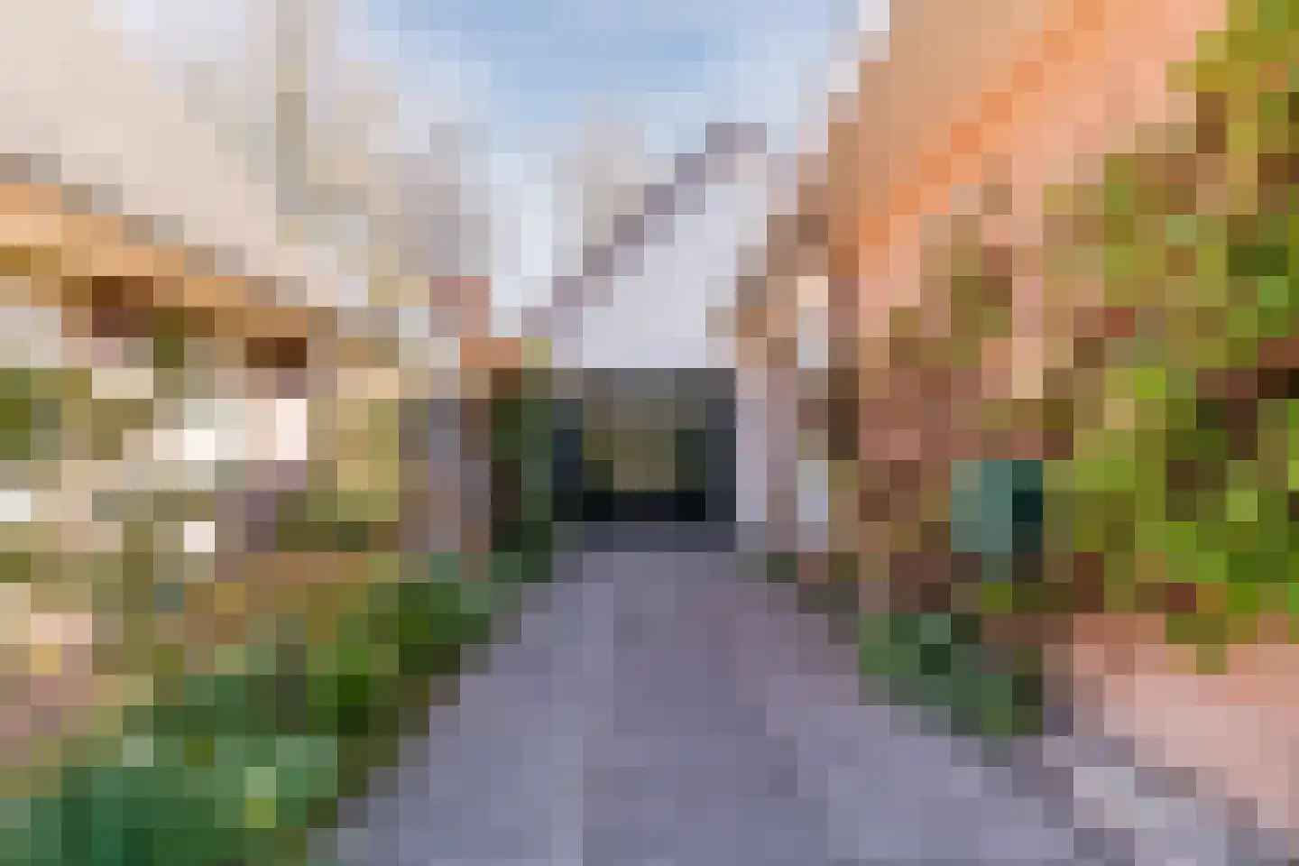 Kievit 7 Zuid-Scharwoude thumbnail 6