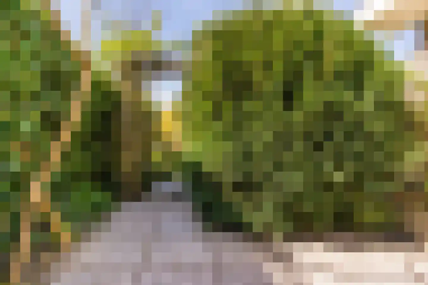 Kievit 7 Zuid-Scharwoude thumbnail 62