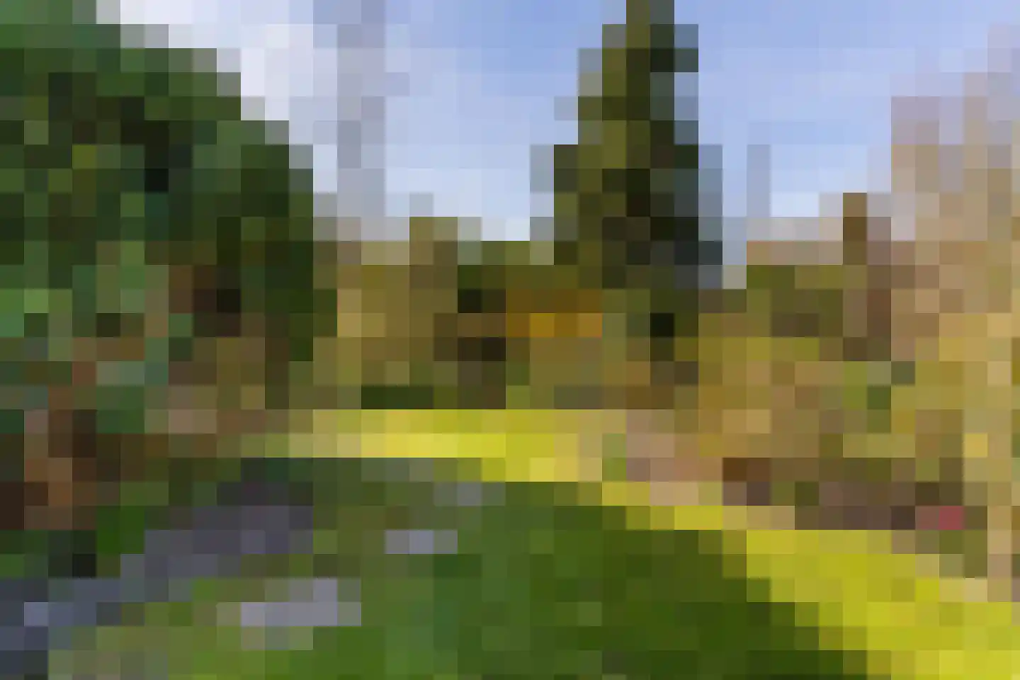 Kievit 7 Zuid-Scharwoude thumbnail 63