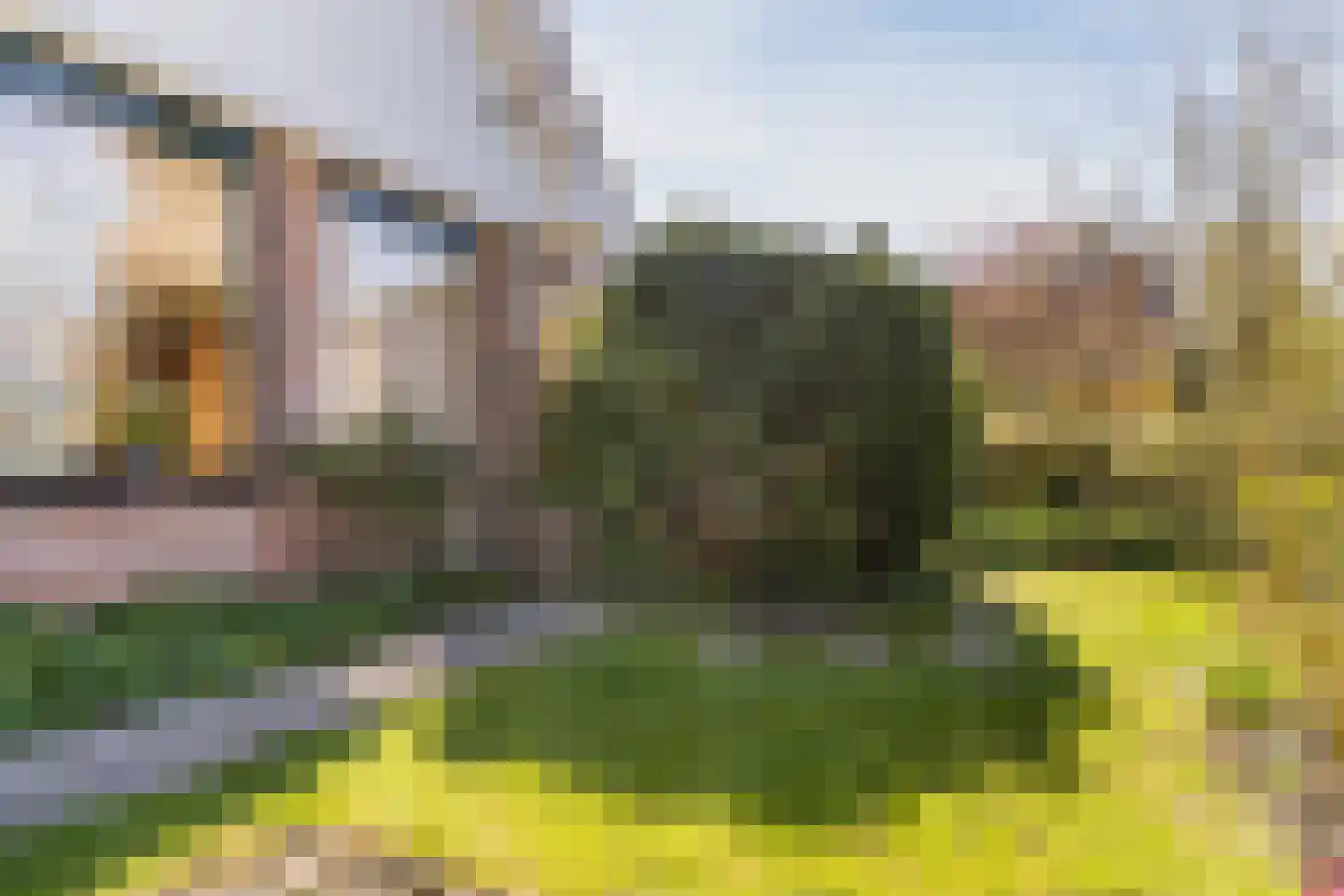 Kievit 7 Zuid-Scharwoude thumbnail 64