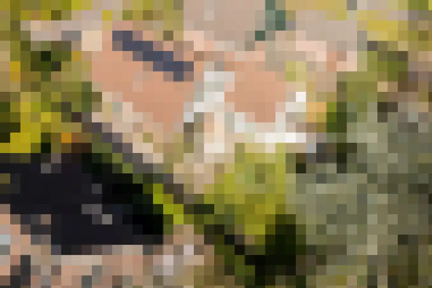 Kievit 7 Zuid-Scharwoude thumbnail 65
