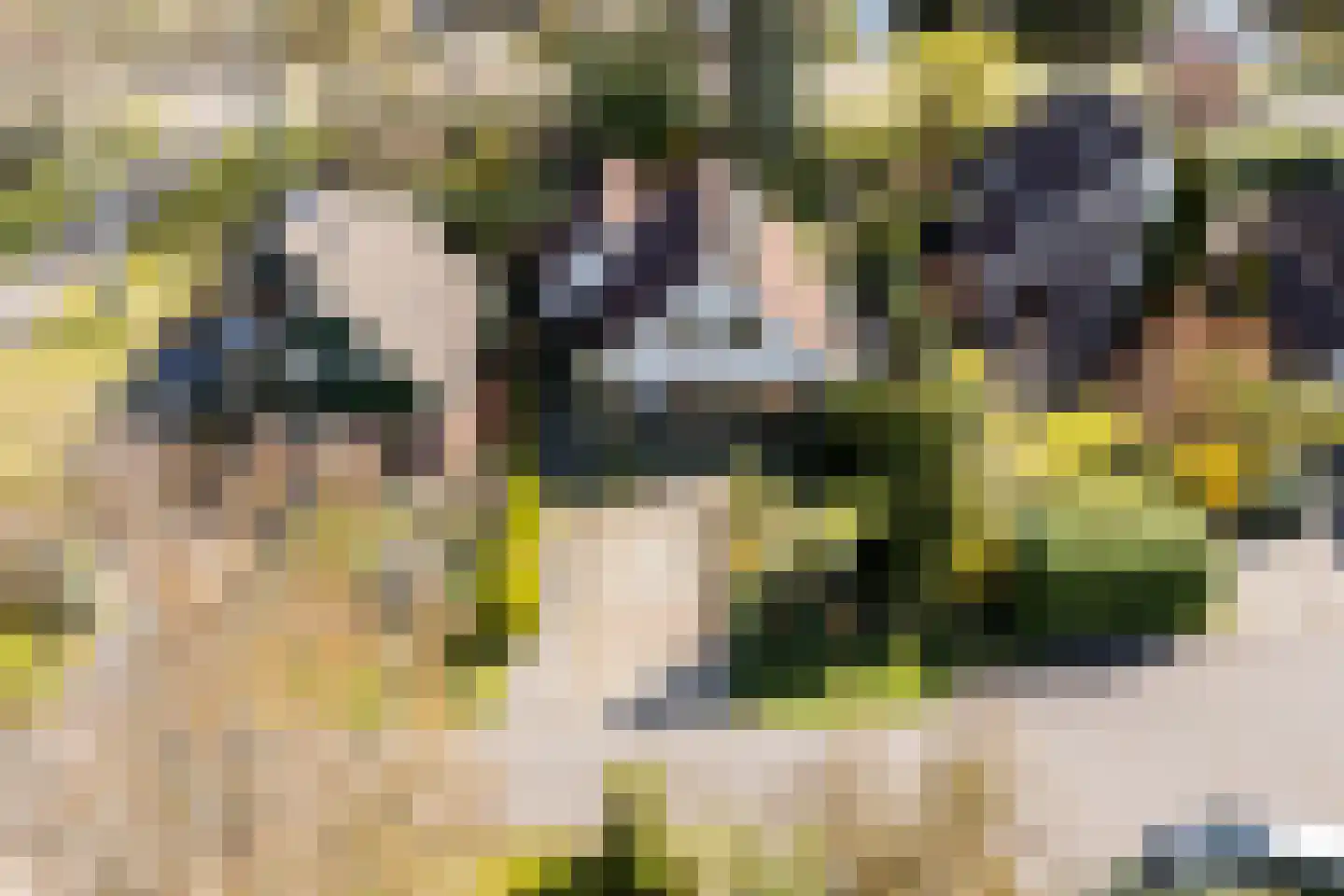 Kievit 7 Zuid-Scharwoude thumbnail 67