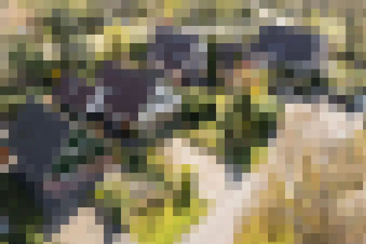 Kievit 7 Zuid-Scharwoude thumbnail 68