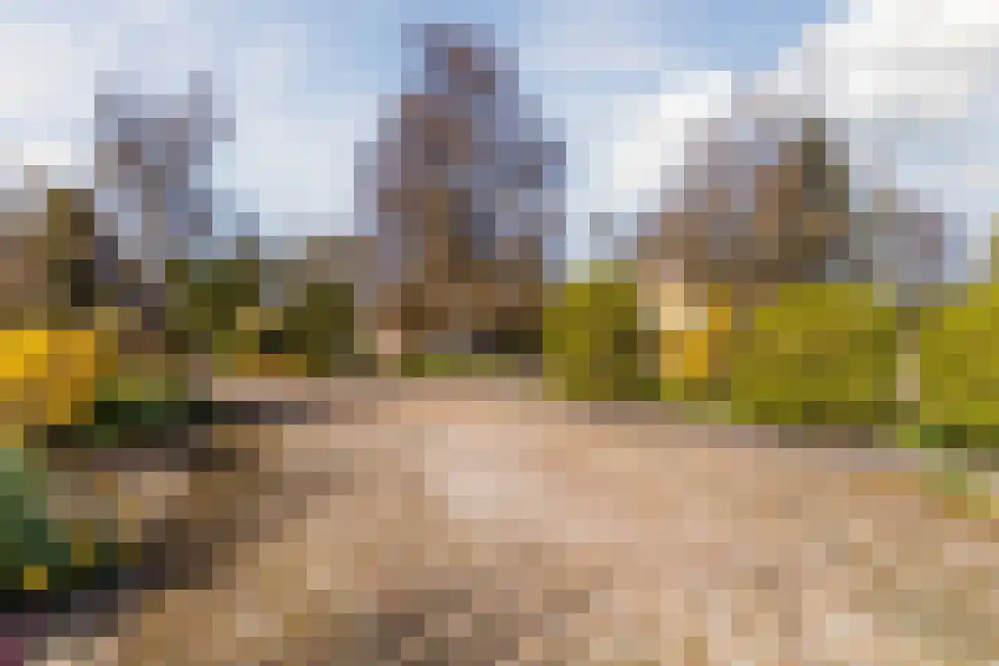 Kievit 7 Zuid-Scharwoude thumbnail 7