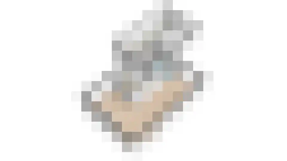Kievit 7 Zuid-Scharwoude thumbnail 70