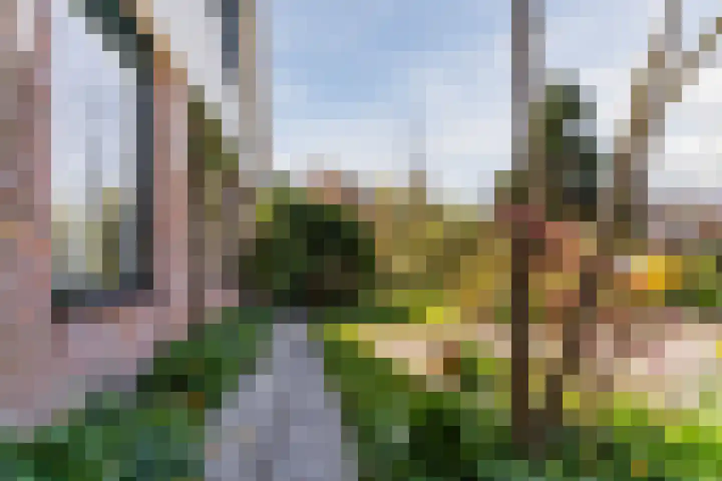 Kievit 7 Zuid-Scharwoude thumbnail 8