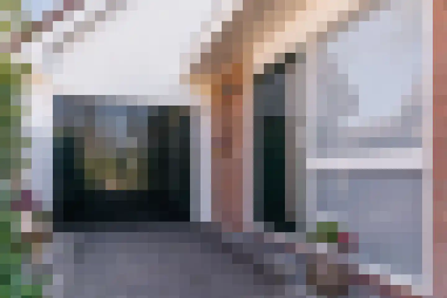 Kievit 7 Zuid-Scharwoude thumbnail 9