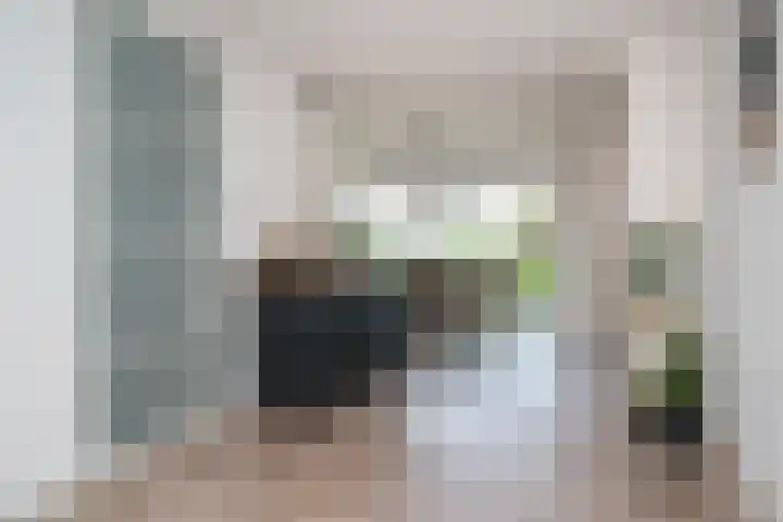 Kievit 74 Maurik thumbnail 10