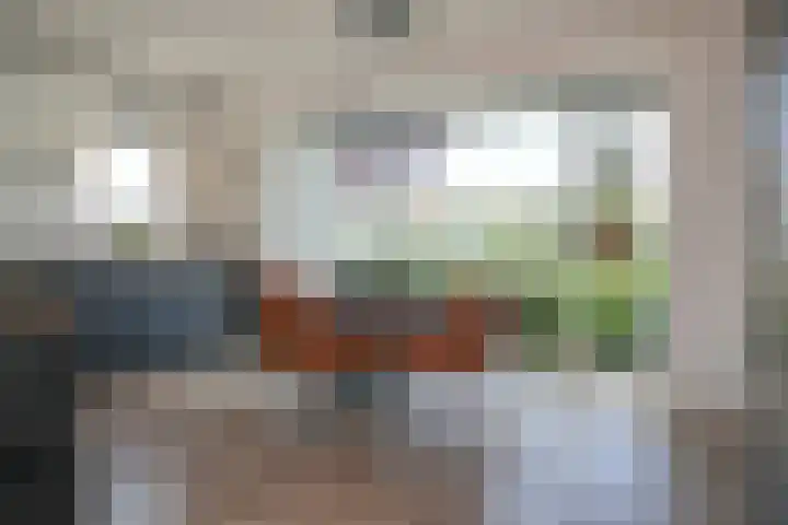 Kievit 74 Maurik thumbnail 11
