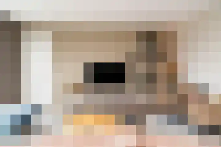 Kievit 74 Maurik thumbnail 16