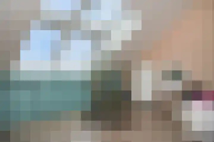 Kievit 74 Maurik thumbnail 30