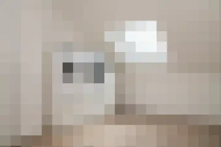 Kievit 74 Maurik thumbnail 31