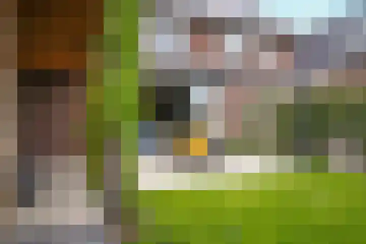 Kievit 74 Maurik thumbnail 34