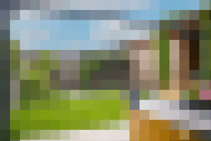 Kievit 74 Maurik thumbnail 36