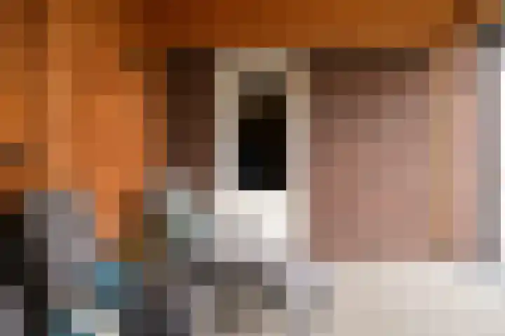 Kievit 74 Maurik thumbnail 37