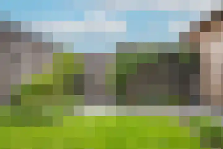 Kievit 74 Maurik thumbnail 38
